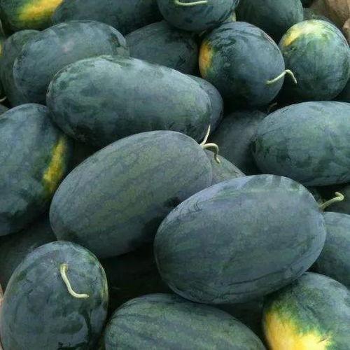 51抖音吃瓜黑料,揭秘网络舆论背后的真相